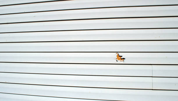 Best Residential Vinyl Siding Installation  in Red Bay, AL