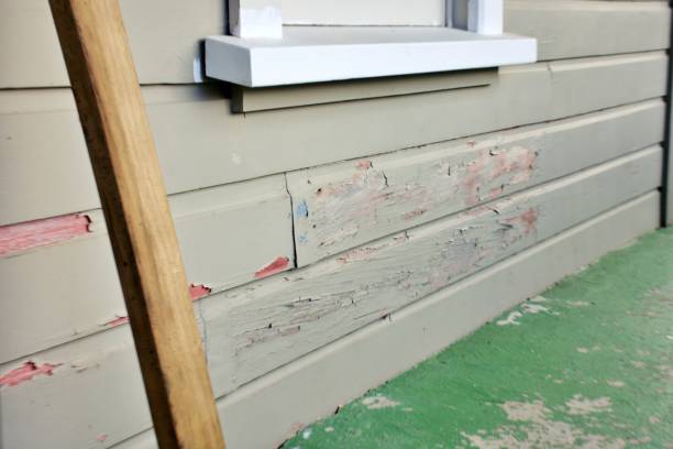 Best Siding Removal and Disposal  in Red Bay, AL